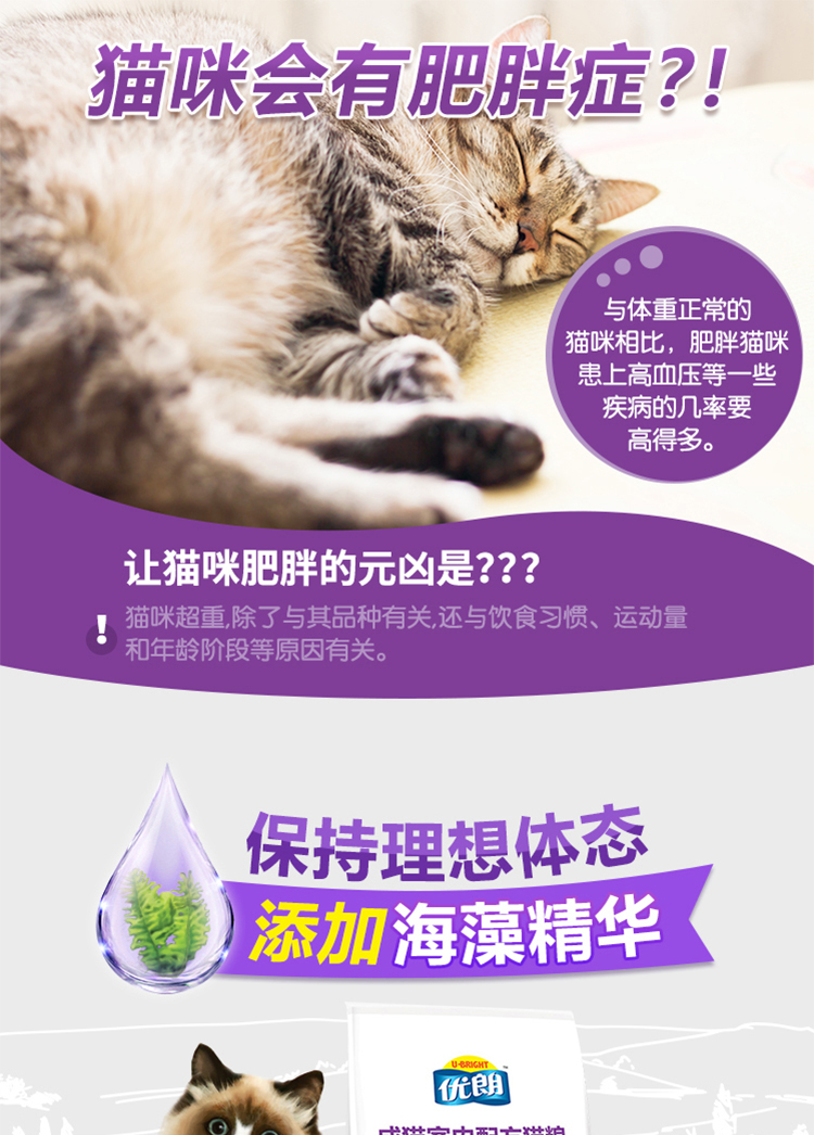 Thức ăn cho mèo Youlang thức ăn trong nhà cho mèo 2kg cơ thể lý tưởng gà xanh mèo Anh và thức ăn chủ yếu cho mèo ngắn của Anh - Cat Staples mèo ăn hạt có tốt không