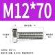 M12*70 (10)