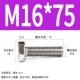 M16*75 (5)