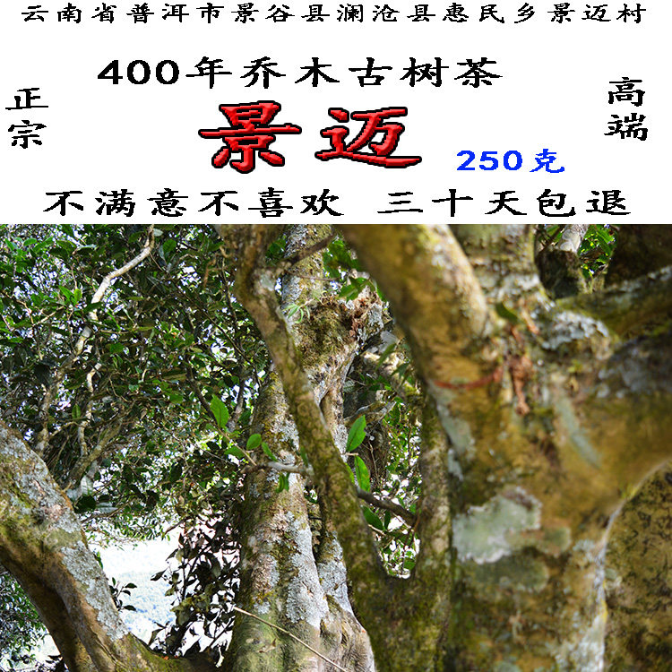 Yunnan Jingmai tea Pu'er tea 400 years Qiao Mugu tea pure material raw tea loose tea spring tea 250 gr Origin direct