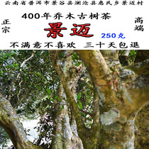 Yunnan Jingmai tea Puer tea 400 year Arbor ancient tree tea pure raw tea loose tea spring tea 250 grams of Origin direct sales