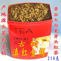 Yunnan Dian Red Kung Fu Tea 2021 Spring Tea Golden Snail Bud Ancient Tree Bud Honey Fragrant Black Tea 250g