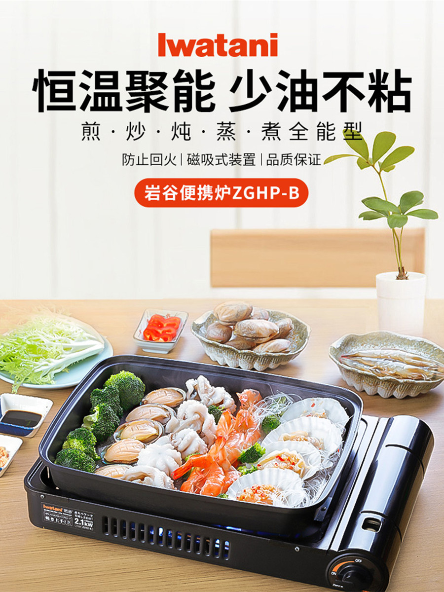 Rock Valley Barbecue Fish Stove Mass Capacity Deepening Barbecue Grill Stove Portable Hotel Gas Furnace