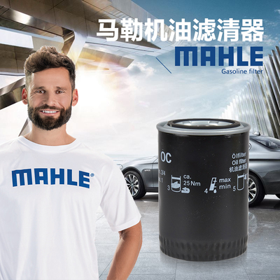 Mahler Aggerate Oil Filter Element