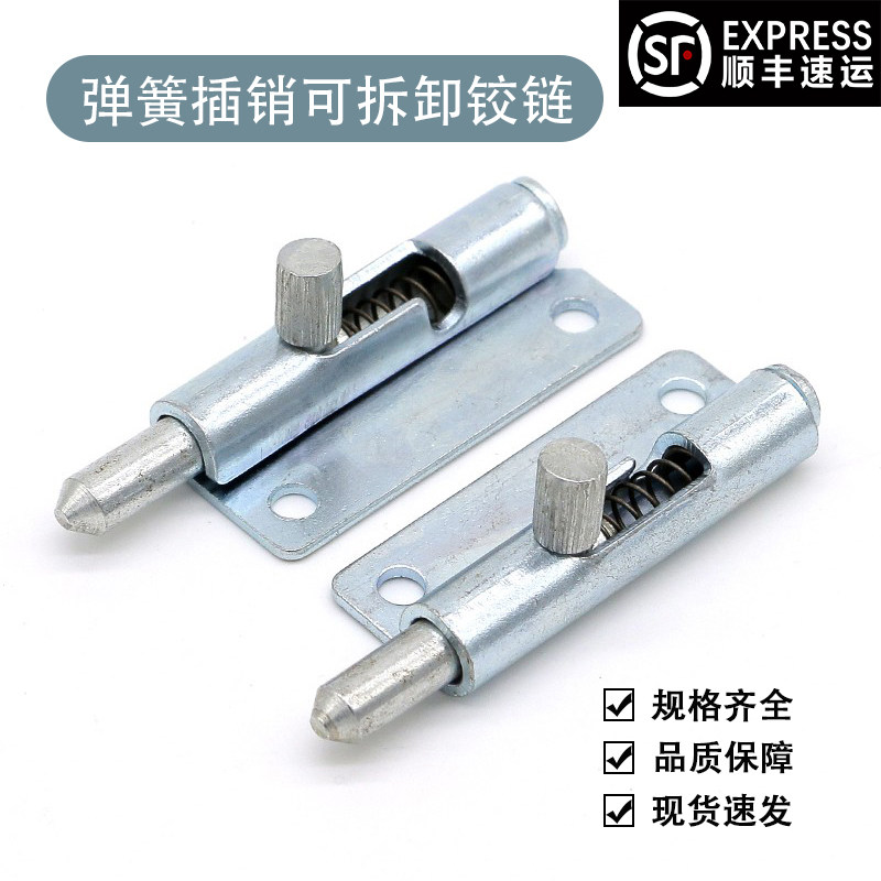 Hot selling class SOUTHCO door hinge F6 series F6-20-N1A50WR pin spring telescopic door detachable hinge