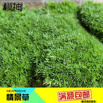 Model God Gundam army model miniatures Floor sand table scene Vegetation Plants Moss Shrubs Turf lawn Grass