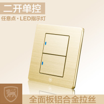 Lion Shield V1 Taste Concealed Switch Socket Panel Champagne Golden Aluminum Wire Drawing LED Arbitrary Point Two Open Single Control