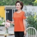 Áo thun cotton nữ tay ngắn cotton 2019 hè thời trang rộng rãi cho nữ trung niên size lớn 40-50 tuổi - Quần áo của mẹ áo trung niên Quần áo của mẹ