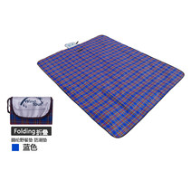 Ultra-light portable outdoor beach mat moisture-proof mat childrens crawling mat Ground cloth Park spring outing mat picnic mat