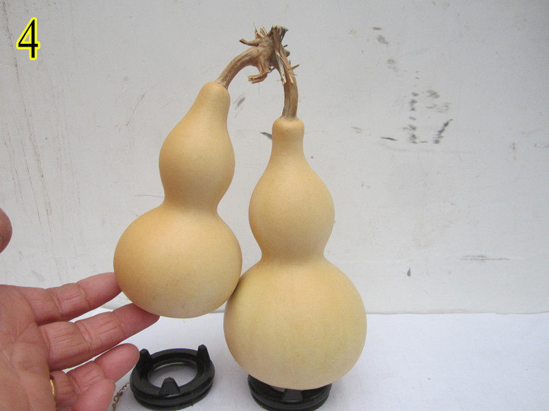 Natural profiled sub-lumbago hyacinth Even the vine pendulum spot 4 Number