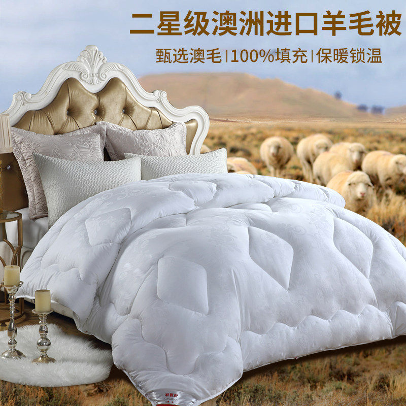 Hengyuan Xiang Australia Imports 100 wool to be thickened Warm Quilt Universal Season Winter Quilt Core by Double Spring and Autumn