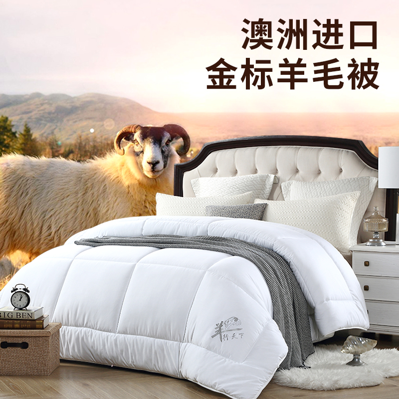 Hengyuan Xiang Australia imports 100 wool quilted winter quilt with thickened warm single double season universal spring and autumn quilt core