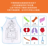 Физиологичный фартук для детского сада, нетканые учебные пособия, органы тела, обучение, наука