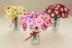 Lễ hội mẹ thiếu nhi sáng tạo Handmade Quà tặng giáo viên DIY Làm màu Nút hoa Chất liệu gói nổi đồ chơi cho bé 1 tuổi Handmade / Creative DIY