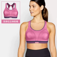 5044 Rose Red Purple Edge