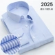 2025 Синяя полоса