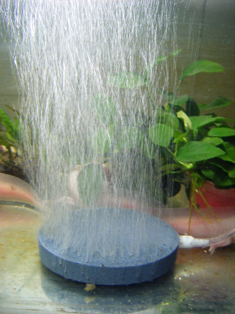 Fish tank aquarium air pump gas pan high temperature sintered bubble stone disc gas stone disc sand head sand disc gas disc stone