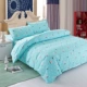 Shuai Yi quilt đơn mảnh đôi 150 200 220 ký túc xá với chăn quilt đơn 1.5 / 1.8 / 2 m - Quilt Covers bộ chăn ga gối đẹp