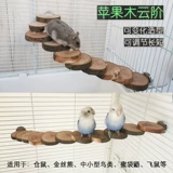 Игрушка из натуральных фруктов деревянная попугая кусает лестницу на платформе, птица -хомяк снабжает тигровой пиони, Xuanfeng