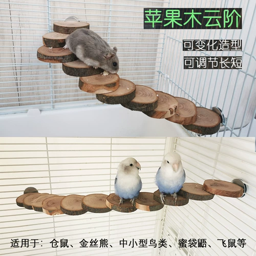 Игрушка из натуральных фруктов деревянная попугая кусает лестницу на платформе, птица -хомяк снабжает тигровой пиони, Xuanfeng