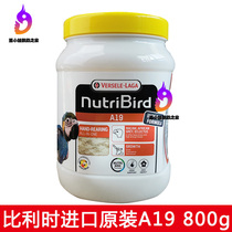Imported Versailles parrot milk powder medium and large A19 high-fat hand-raised chicks and pigeons original 800g