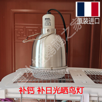Imported parrot health lamp calcium supplement fluorescent lamp Solar bird heating insulation lamp Warm full spectrum anti-biting hair