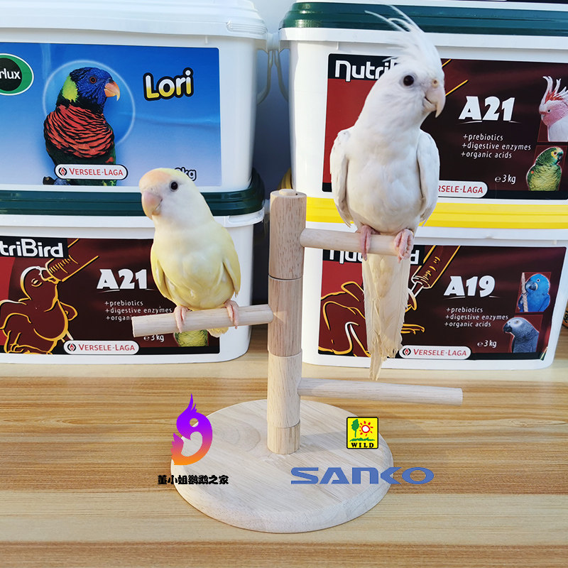 Japan imports high parrot station stand toy rotating rotating station rotating rotating station rotating rotating rotating station rotating rotating rock pole rests natural wooden tiger peony peony and so on