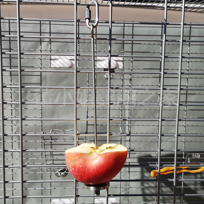 Parrot feeding fruits and vegetables fork stainless steel food box feeding gnaw toy bird supplies apple corn small and medium