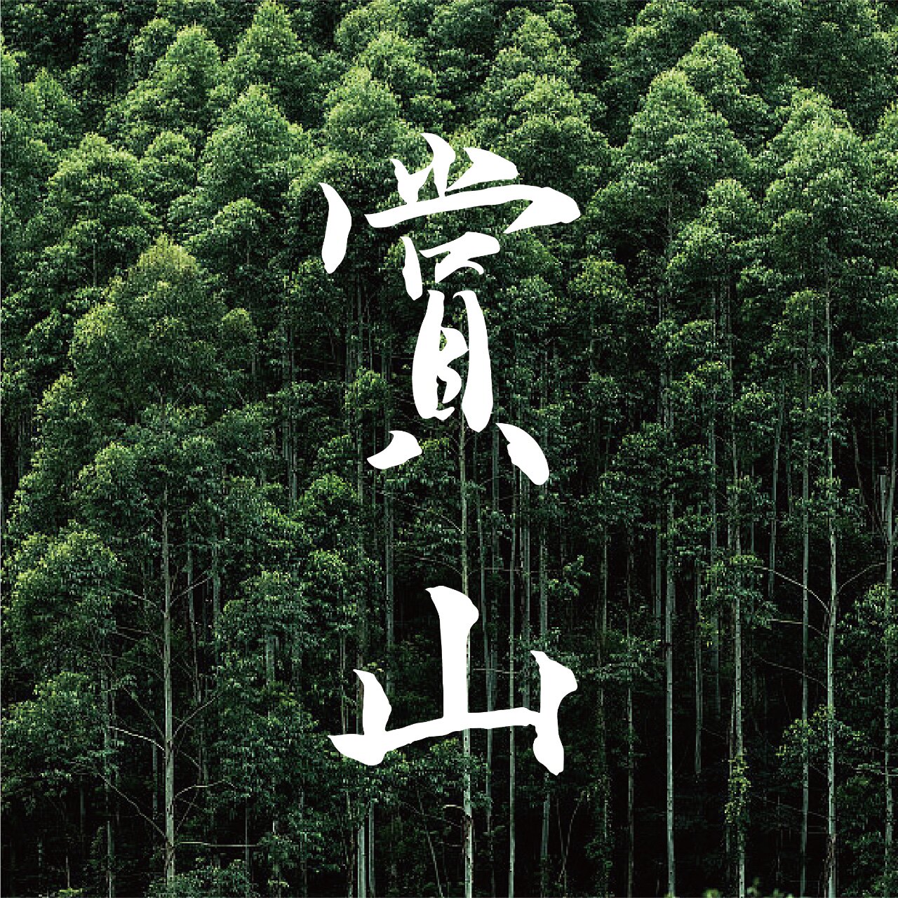 赏山商店