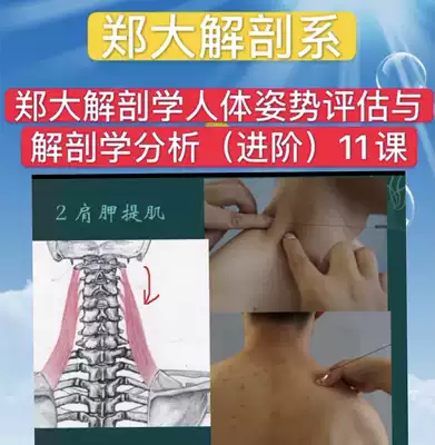 Zheng Da Anatomy Video Human Posture Assessment and Anatomical Analysis(Advanced) Lesson 11