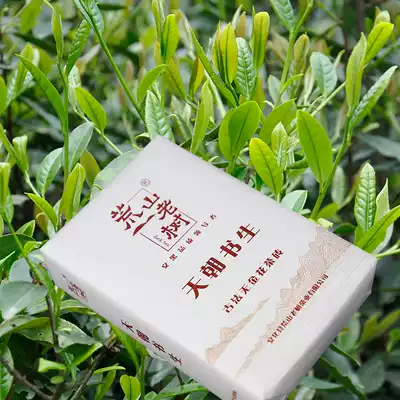 Gaoma Majia Creek Tianyuan Brick Sweet Tea Yongfu Tea Leaf Hunan Anhua Black Tea Jing Special Grade Two Creek