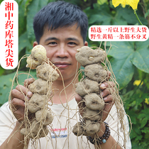 Pure sun-dried wild authentic Anhua Huangjingsheng tablets 500g stewed chicken 1 time unforgettable Hunan Traditional Chinese Medicine Library top goods