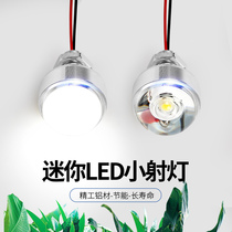 Highlight LED lamp beads DC12V bulb 11 1V battery lamp High photoelectric lamp with wire parallel circuit electrical lighting
