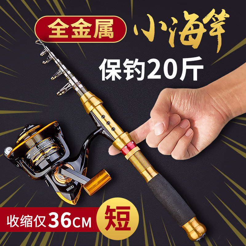 Japan Import Fishing Rod Mini Small Sea Rod Pen Naked Rod Suit Fishing Ultra Short Portable Dump Complete single metal wheel