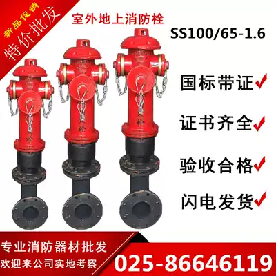 Factory direct SS100 65-1 6 above ground fire hydrant Above ground bolt outdoor fire hydrant Outdoor fire hydrant