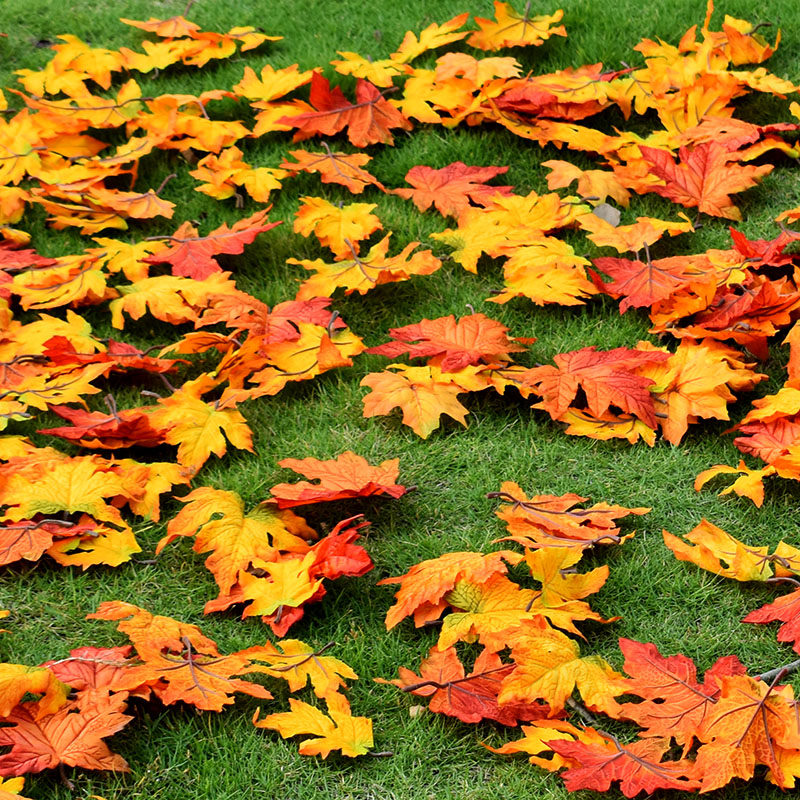 Single Leaf Maple Leaf Fall Leaves Fake Leaves Emulated Leaves Single Leaf Yellow Gingko Wedding Shop Windows Decorate Leaves