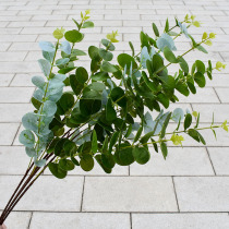 Single simulation eucalyptus leaf plastic green plant long branch Rod Green Leaf wedding wedding decoration flower arrangement leaf fake plant