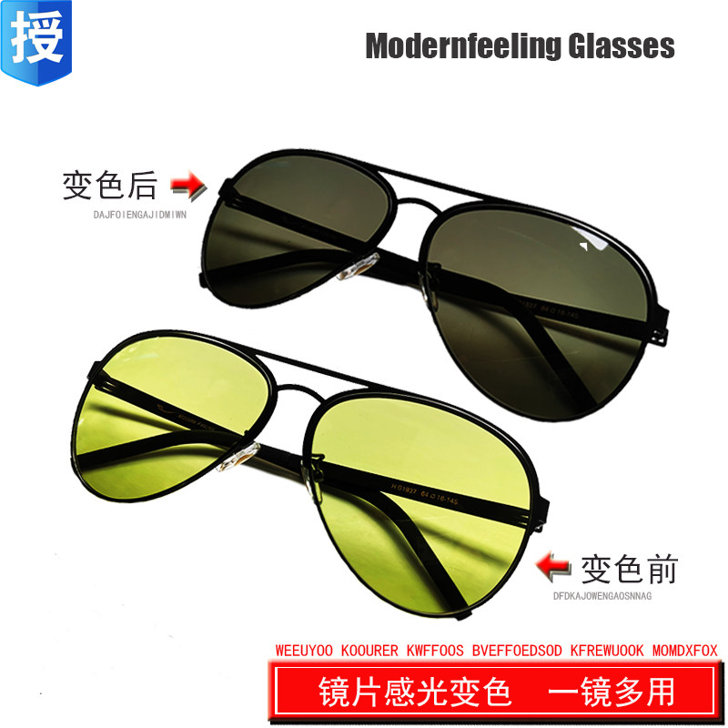 Horse Step Flying Swallow Sun Glasses Polarized 12 Generation TV Shopping style 21 years new light-sensitive discoloration sunglasses HG1937