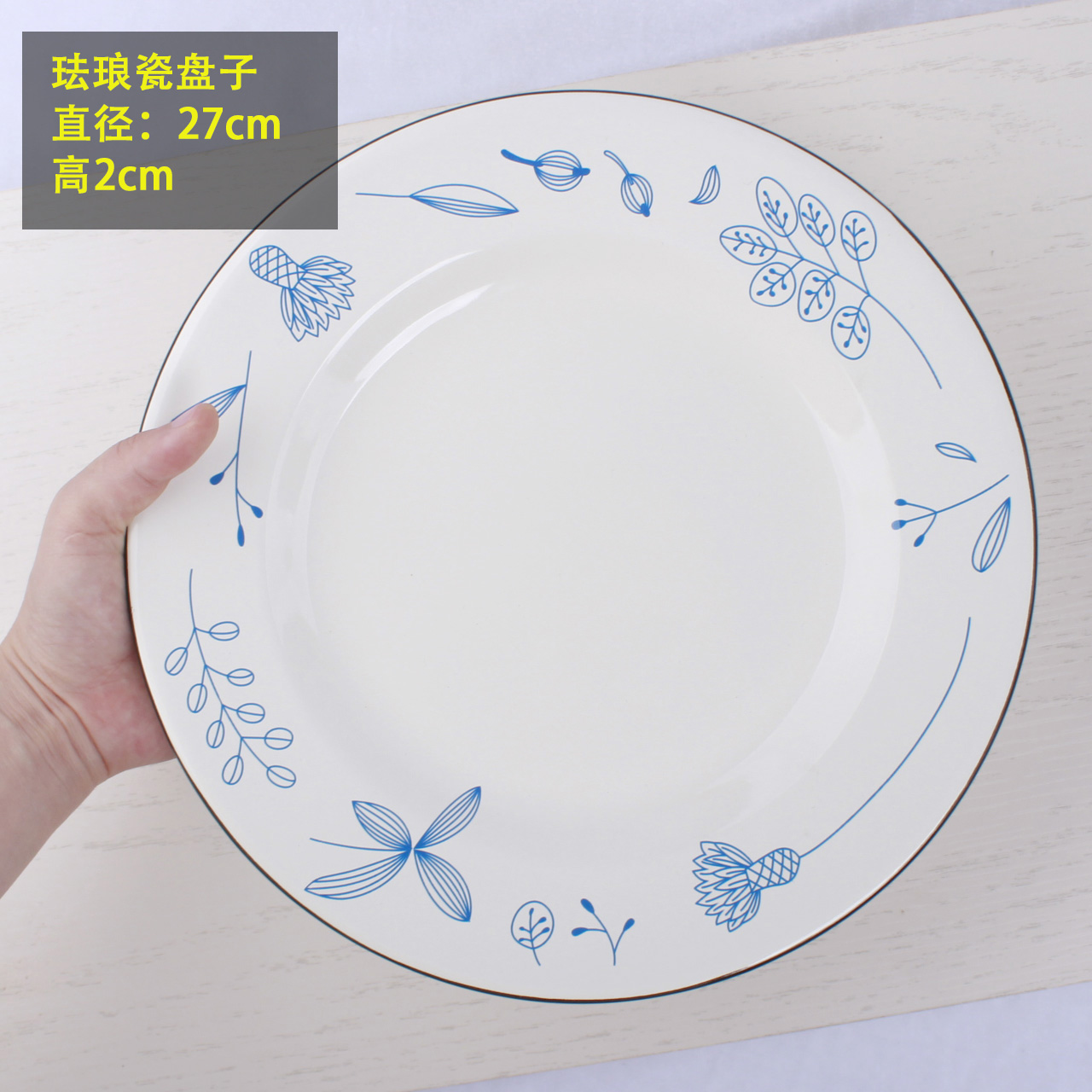 Enamel disc with freight insurance 】 【 creative steak dish pure western food snack plate of flat plate