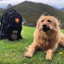  511 military fans 24-hour RUSH assault tactical backpack 58601 outdoor multi-function travel men and women explosive models