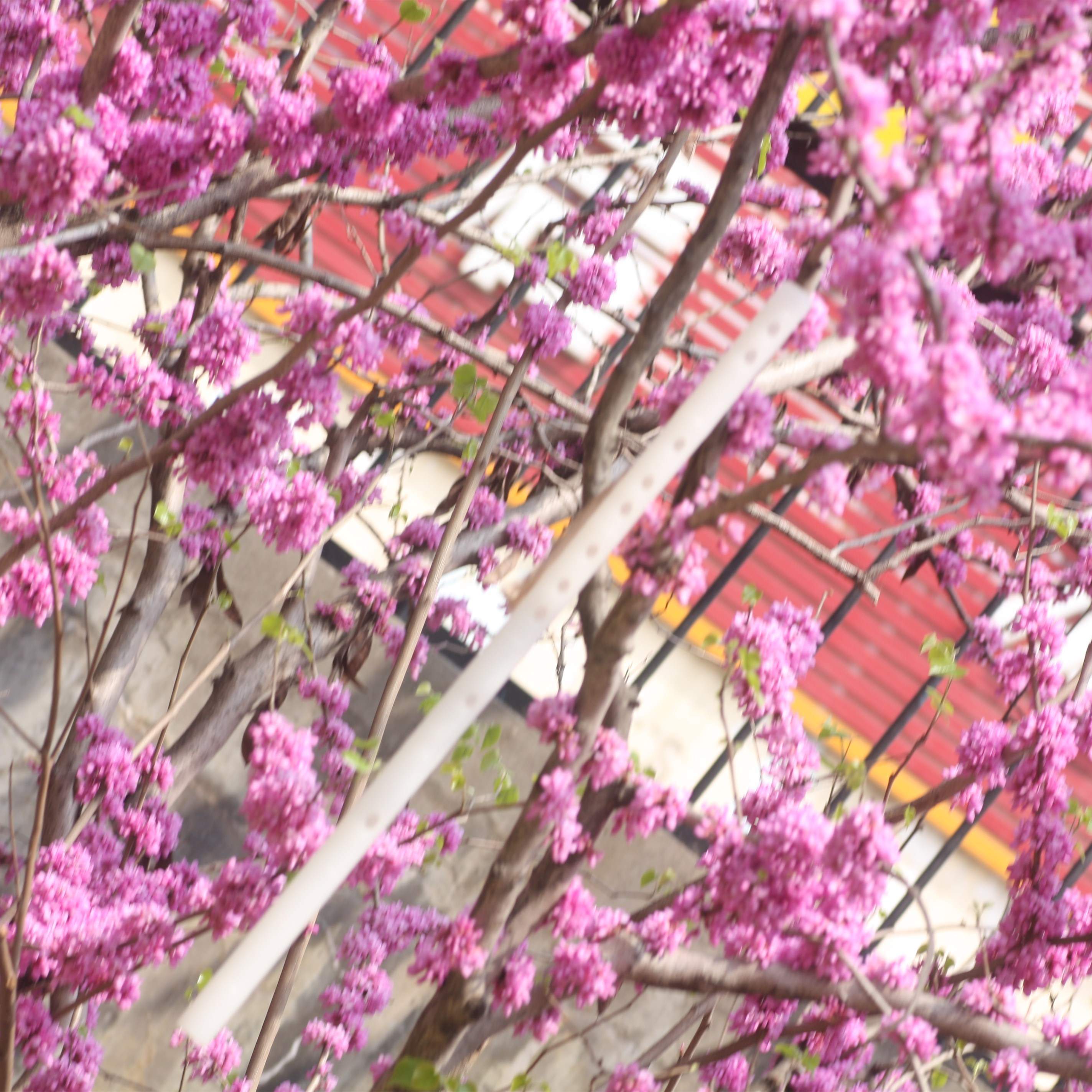 Girl's new college student flute mountain river order uses flute to blow up collection treasures short ancient jade flute Sansheng III manufacturer