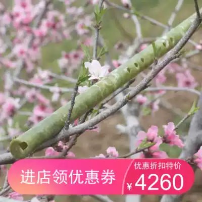 Playing beginner practice collection flute vertical blowing flute u mouth v mouth mouth mouth mouth small cave small discount flute flute instrument flute tutorial