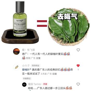Nynp Perfume Pomelo Leaf Good Luck and Fortune Spray Green Pomelo Leaf Perfume Pomelo Leaf Pomelo Scent Long-Lasting Good Luck Fragrance