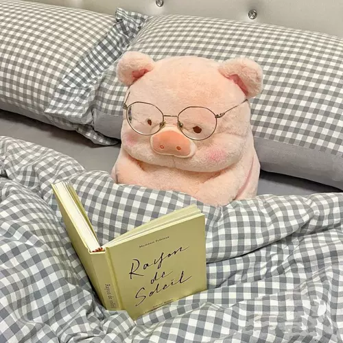 Плюшевая милая игрушка, подушка для обнимания, кукла для друга, подарок на день рождения