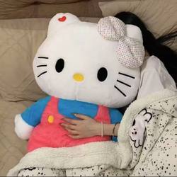 Cute KT Cat Stuffed Toy Hello Kitty Doll Pillow for Female Birthday Gift Cat Rag Doll Sleeping with Bed
