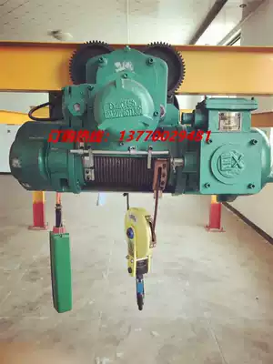 Factory direct explosion-proof wire rope electric crane explosion-proof 1 ton 2 tons 3 tons 5 tons 10 tons electric crane