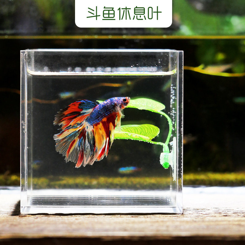 Bucket Fish Leaf Rest Leaves Spawning Leafy Water Group Pet Supplies Decoration Emulation Aqua Grass Fish Tank Rigging Hide Sleeping Bed