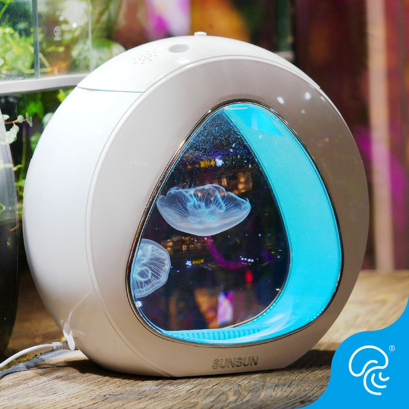 Small jellyfish aquarium moon light jellyfish living baremoon sea moon ornamental tabletop shake-in-water mother cylinder youthful version