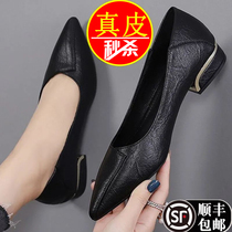 Leather Foot Yirkang Single Shoes Womens coarse heel 2021 Autumn New pointed comfortable work shoes Joker flat shoes