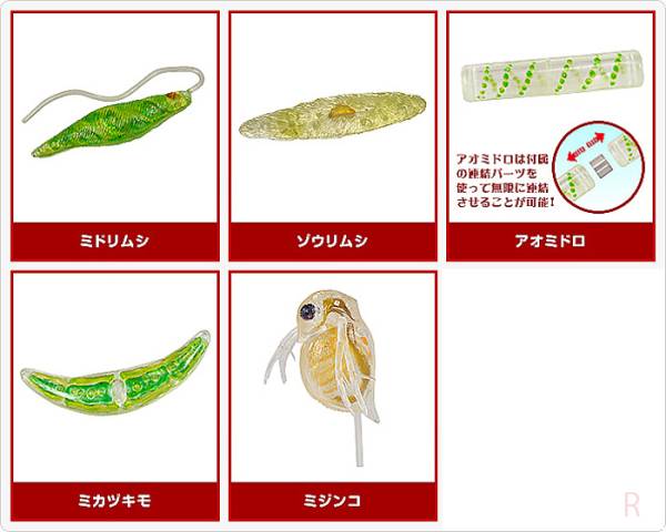 Takara 不思議生物大百科極小之共存者微生物編扭蛋 全5 1sp